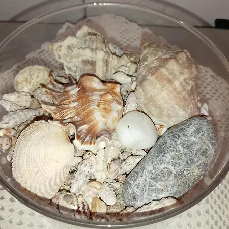 아파트 Jase 스플리트