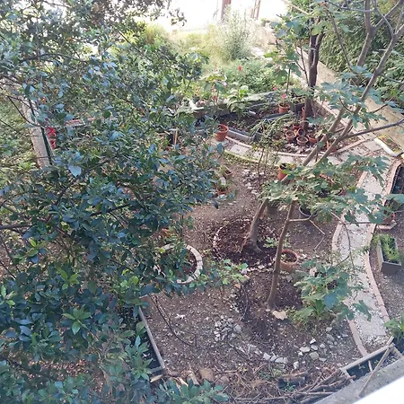 Jase 아파트 스플리트